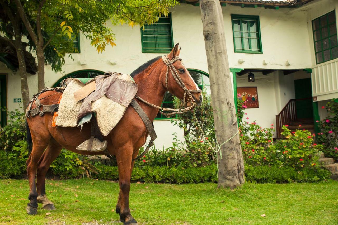 Posada Ingapirca Kültér fotó